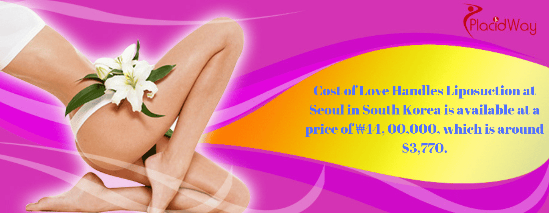Cost of Love Handles Liposuction at Seoul in South Korea is available at a price of ₩44, 00,000, which is around $3,770.